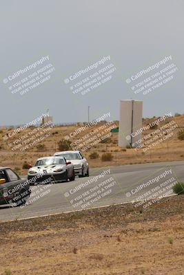 media/May-03-2025-Lucky Dog Racing (Sat) [[206de64b9d]]/Turn 6 (150pm-230pm)/